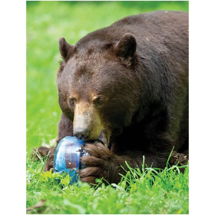 BearVault Food Canister (BV425, BV450, BV475, BV500)