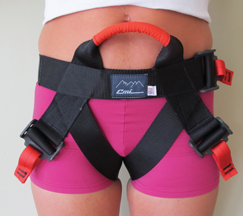 CMI Quick Harness