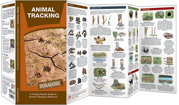 Animal Tracking