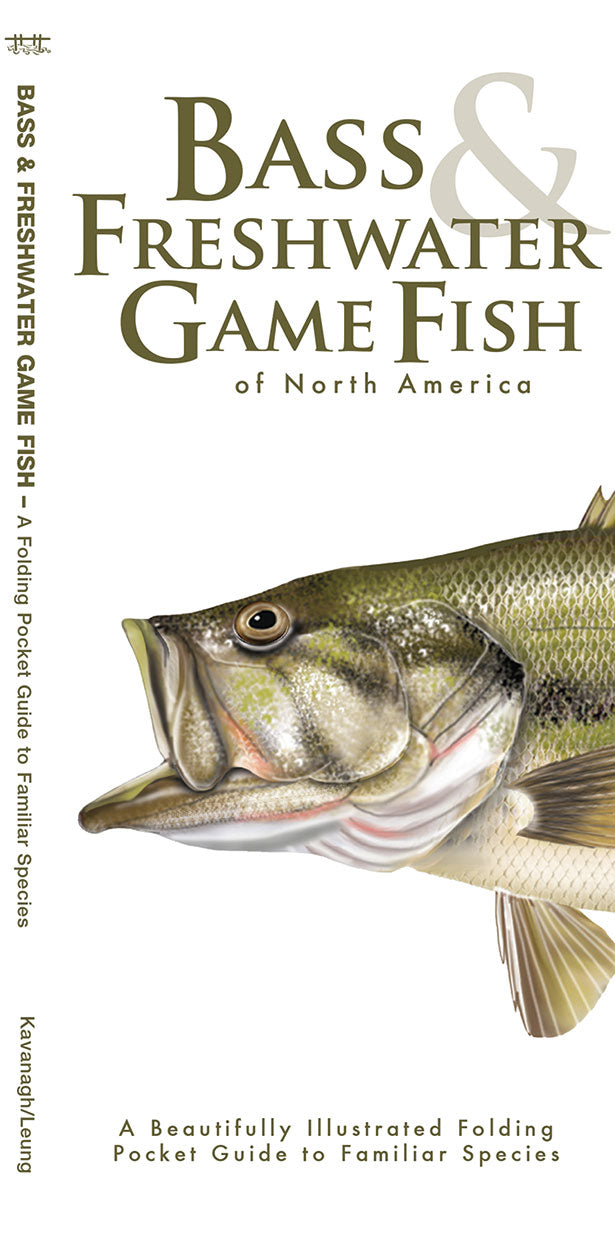 Bass & Freshwater Game Fish