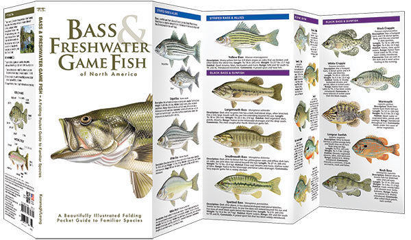 Bass & Freshwater Game Fish
