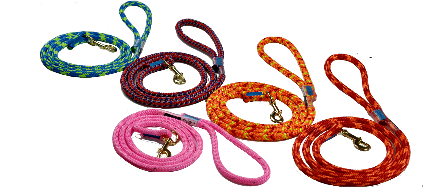 Beast Leash