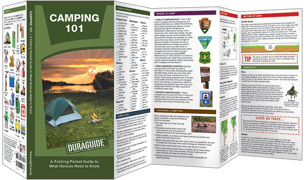 Camping 101