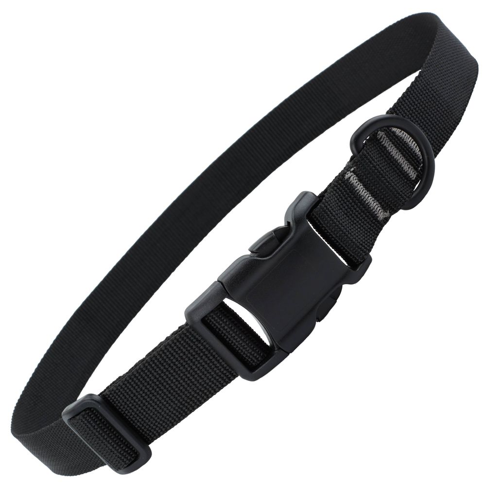 NRS Dog Collar
