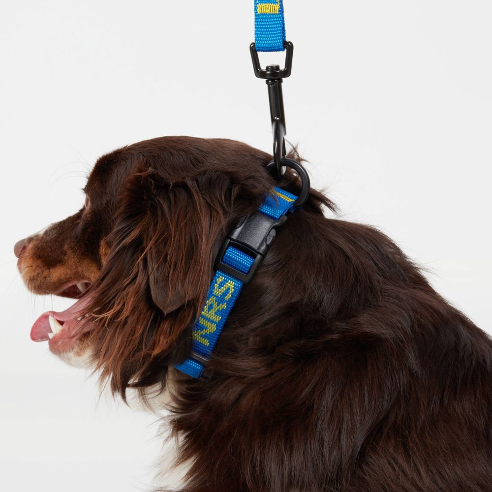 NRS Dog Collar