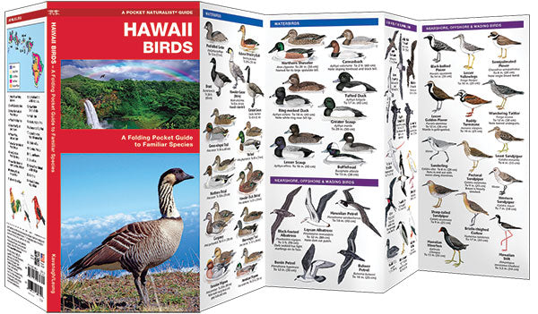 Hawaii Birds