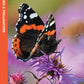 Indiana Butterflies & Pollinators