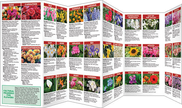The Language Of Flowers