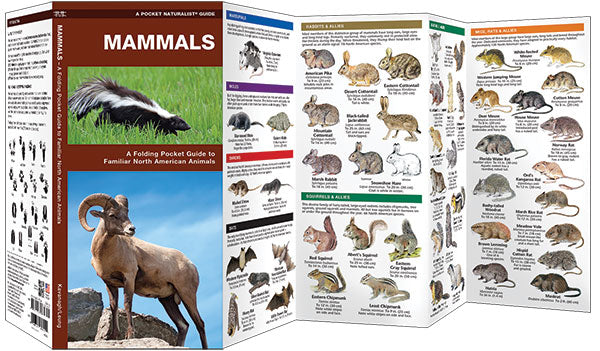 Mammals