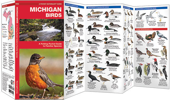 Michigan Birds