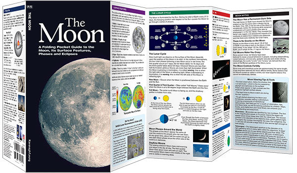 The Moon