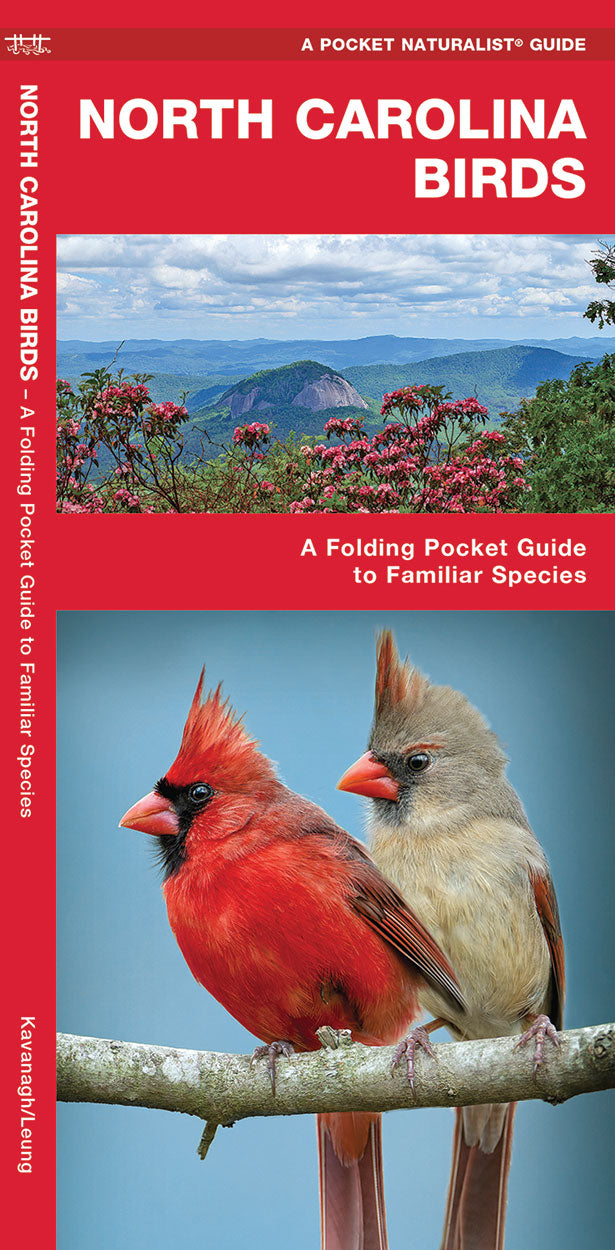 North Carolina Birds