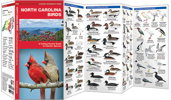 North Carolina Birds