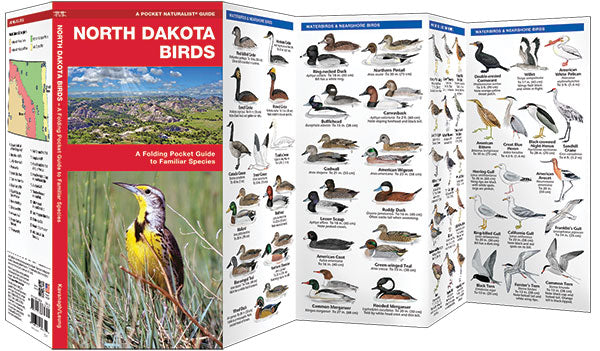 North Dakota Birds