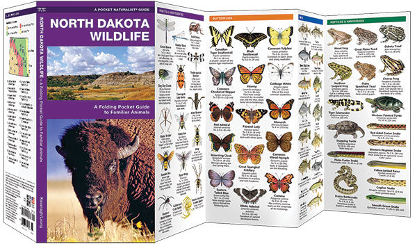 North Dakota Wildlife