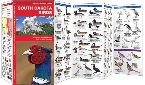 South Dakota Birds