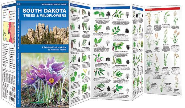 South Dakota Trees & Wildflowers