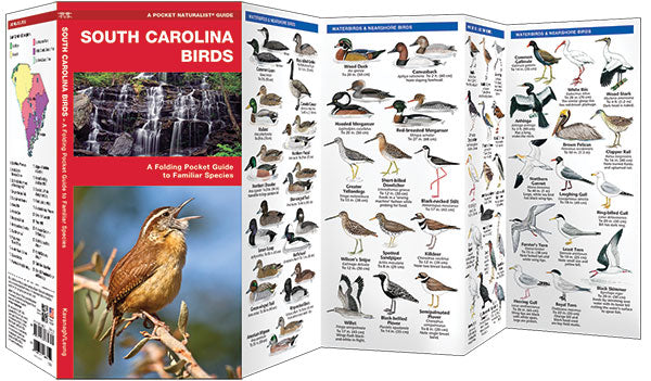 South Carolina Birds