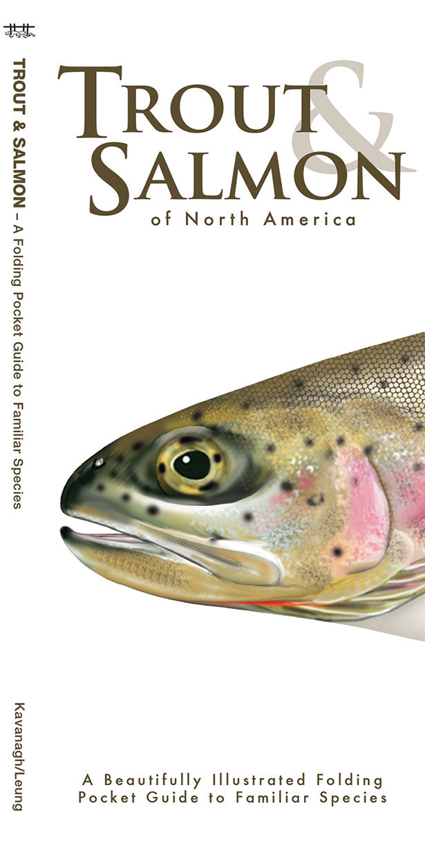 Trout & Salmon