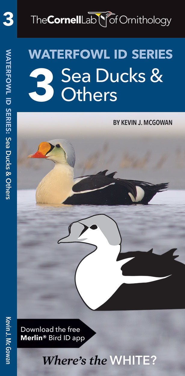 Waterfowl ID Series - 3 Sea Ducks & Others