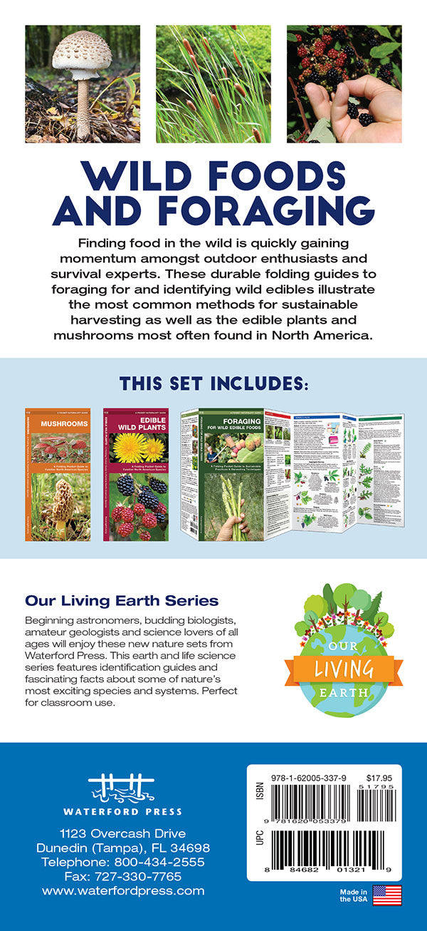 Wild Foods & Foraging Set