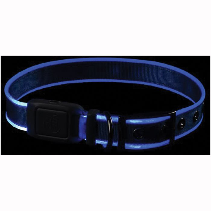 Nitedog Rechargeable LED Collars (Blue and Green)