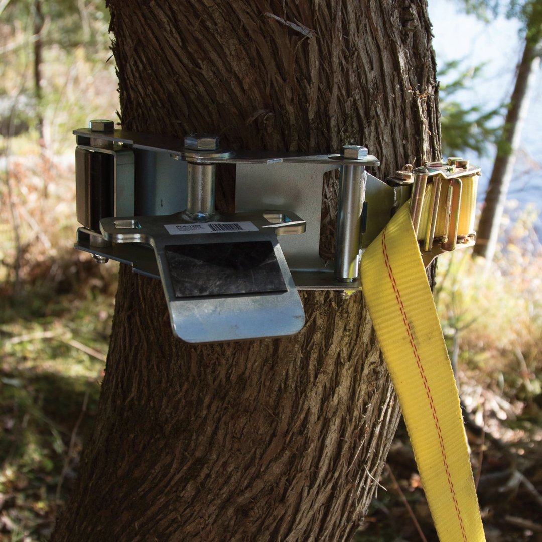 Tree-Mount Winch Anchoring System