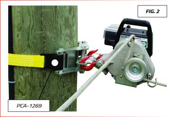 Tree-Mount Winch Anchoring System