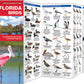 Florida Birds