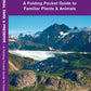 Glacier Bay National Park & Preserve