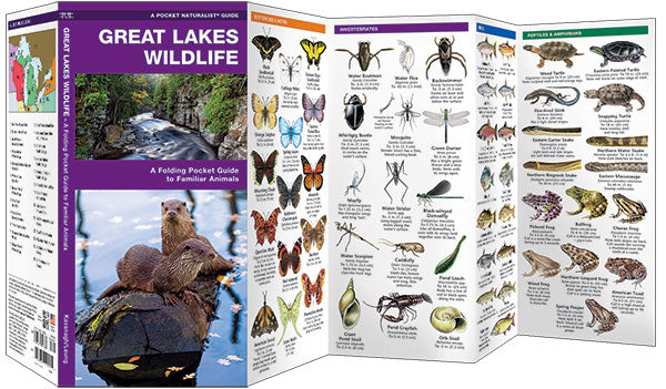 Great Lakes Wildlife