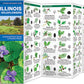 Illinois Trees & Wildflowers
