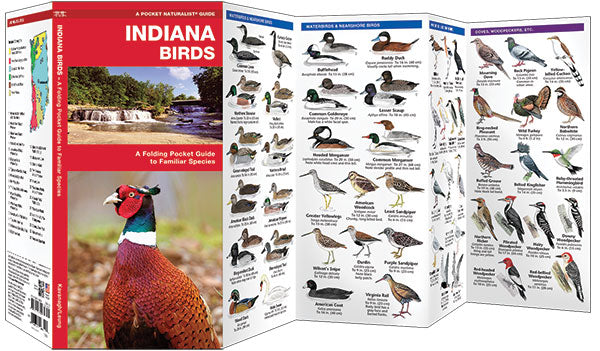 Indiana Birds