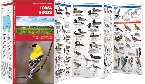 Iowa Birds