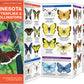 Minnesota Butterflies & Pollinators