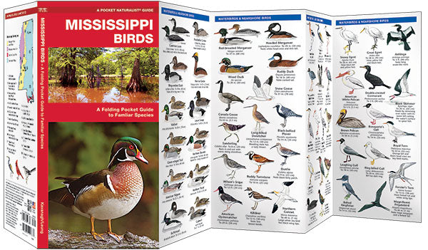 Mississippi Birds