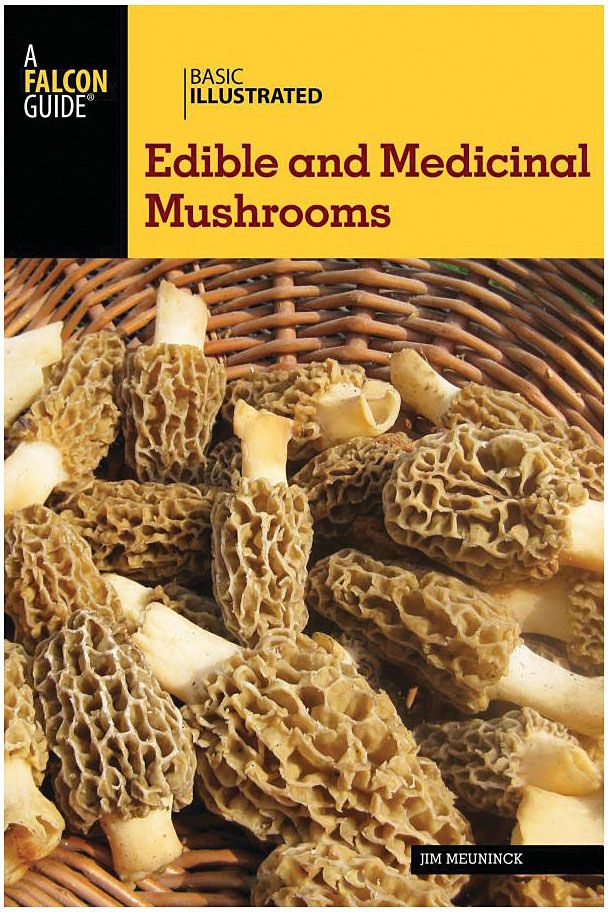Edible and Medicinal Mushrooms
