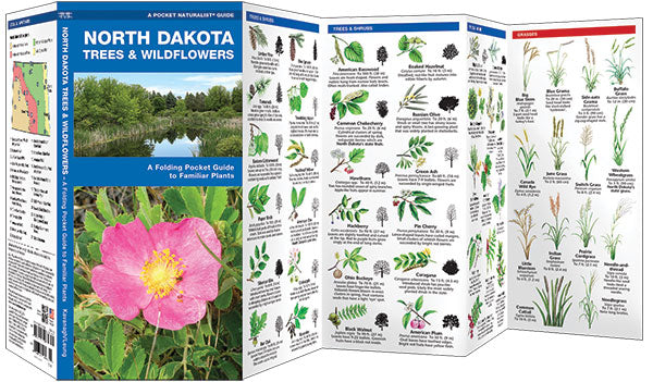 North Dakota Tree's & Wildflowers