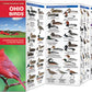 Ohio Birds