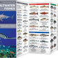 Saltwater Fishes