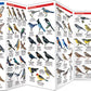 Utah Birds