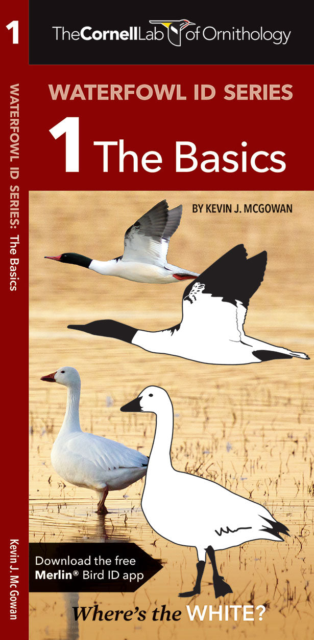 Waterfowl ID Series - 1 The Basics