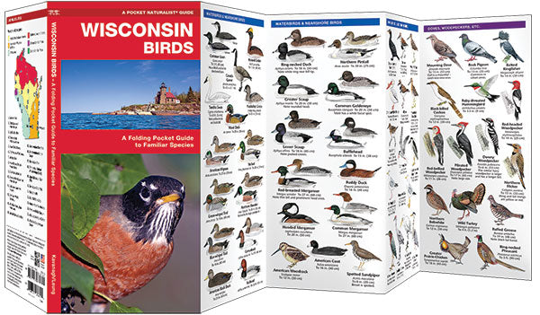 Wisconsin Birds
