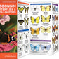 Wisconsin Butterflies & Pollinators