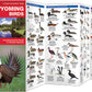 Wyoming Birds